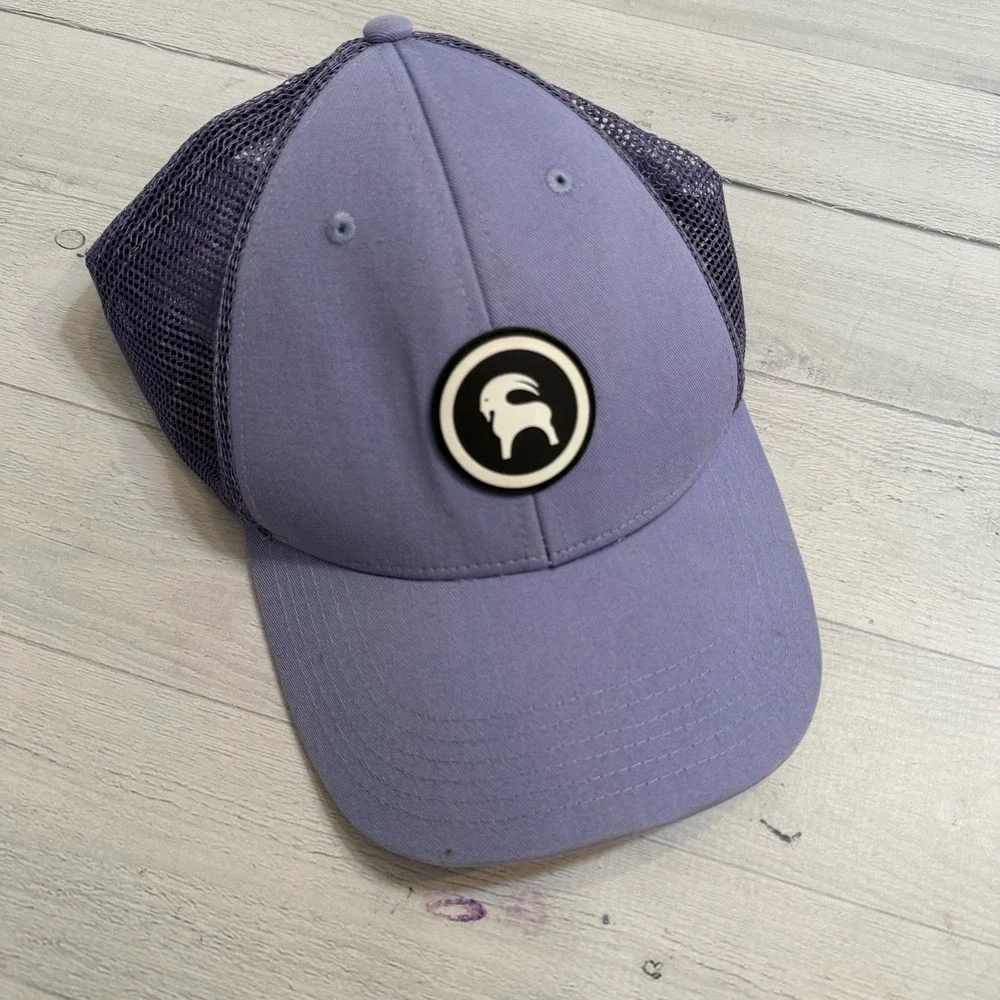 Backcountry unisex adult purple logo‎ hat